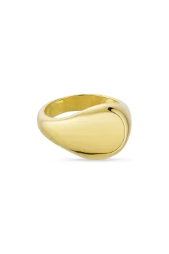 Atomic Dome Signet Ring