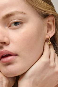 Charm, Sunny Sunshine C033G