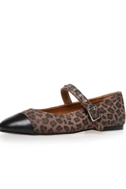 Dreaming Of Love Lep CS8529