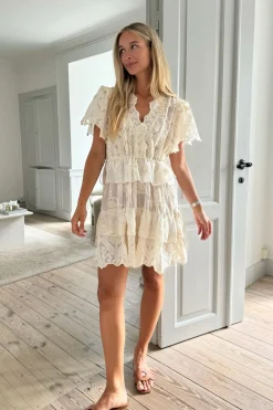 Ellinoric Lace Layer Dress