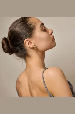 Enstuds, Carya E442G