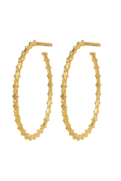 HOVElara Hoop Earrings VJ223-UEG
