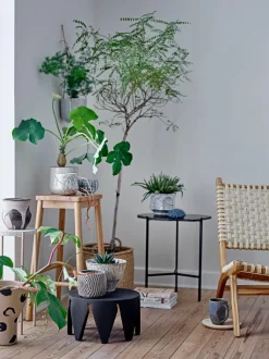 Ignacia Urtepotteskjuler Stentøj