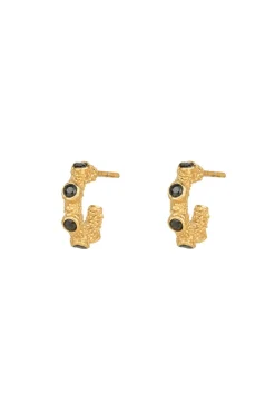 Isle Haze Hoop Earrings VJ225-UEG