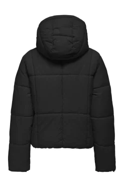 Jdywonder Short Hood Puffer Sij