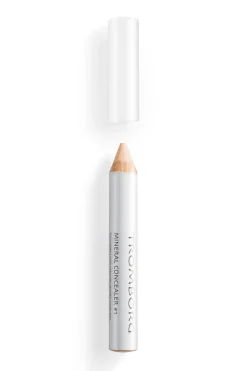 Mineral Concealer No 1