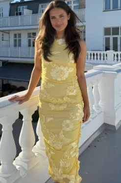 Miraic Mesh Dress A23766