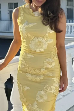 Miraic Mesh Dress A23766