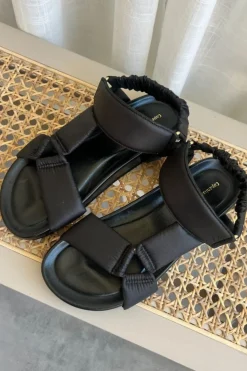 My Summer Days CS7823