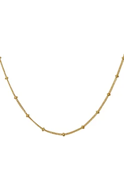 Nala Choker Necklace 2506a