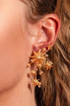 Night Poetry Earrings