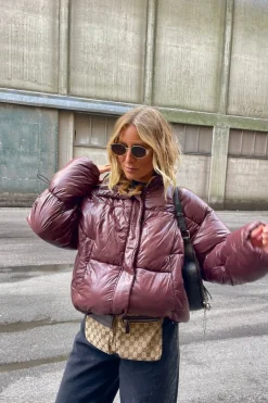 Nmallie Shiny Puffer