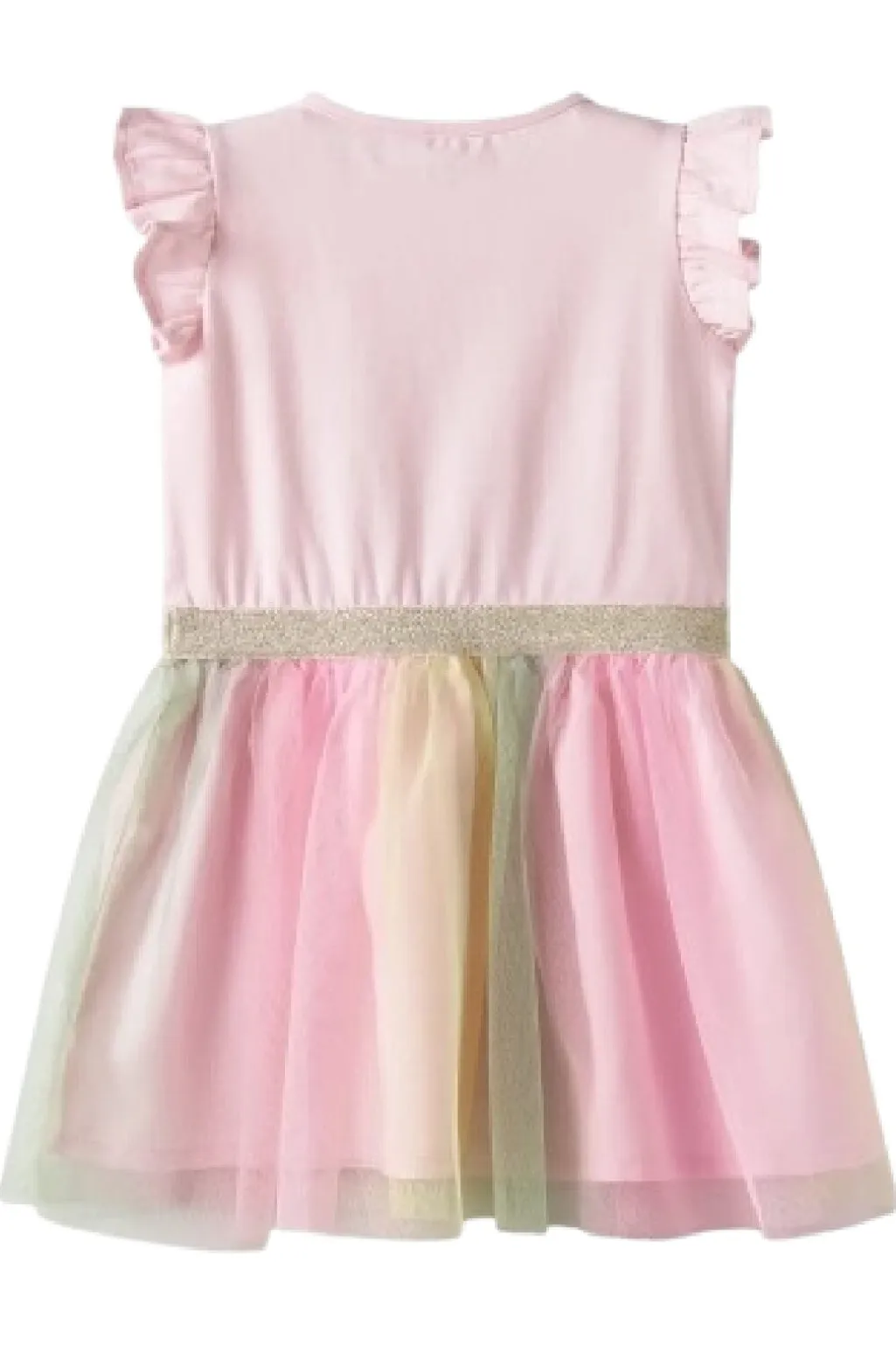 Nmfarnina Happy Ss Tulle Dress Smi