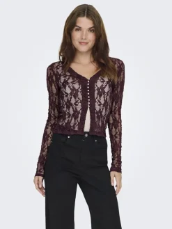 Onlalba L/S V-Neck Lace Top