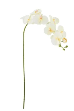 Orchid Stilk, Hvid, Kunstige Blomster 82072093
