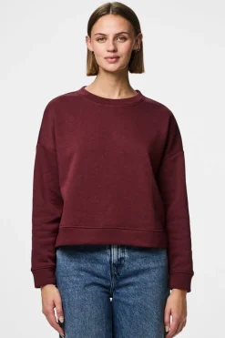 Pcchilli Ls Loose Sweat