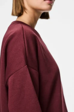 Pcchilli Ls Loose Sweat