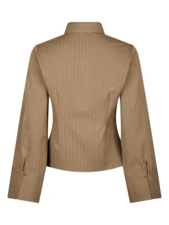 Rosa Pinstripe Shirt 163561