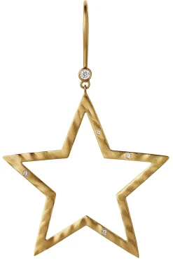 Shining Star Earring