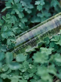 Signature Notes Huile de Parfum Purse Edition