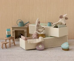 Tandfe Mus, Lillesøster I Tændstikæske