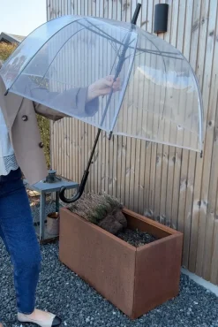 Transparent Umbrella 6511