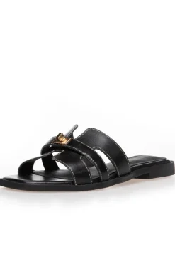 Women'S World CS8463